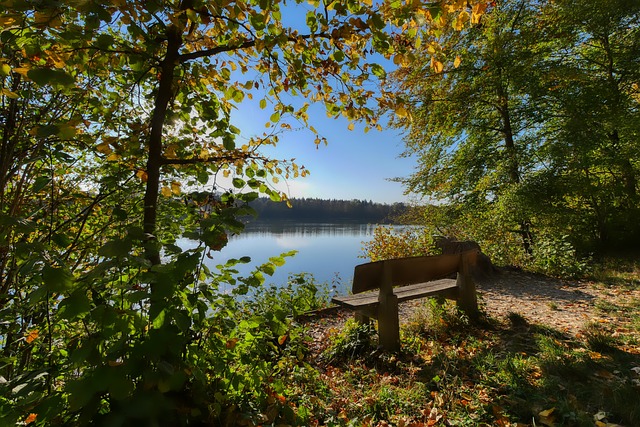 我们不妨将 我们不妨将