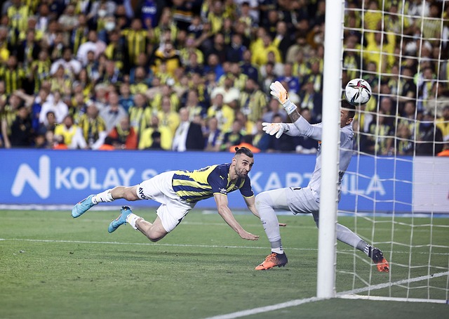 也彰显了信 也彰显了信